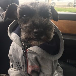 Check Out My New Listings🐾